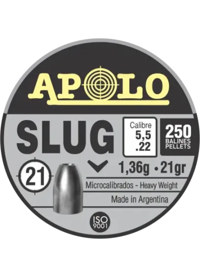 Slug 5,5 (.22)