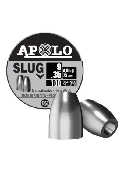 Slug 9mm