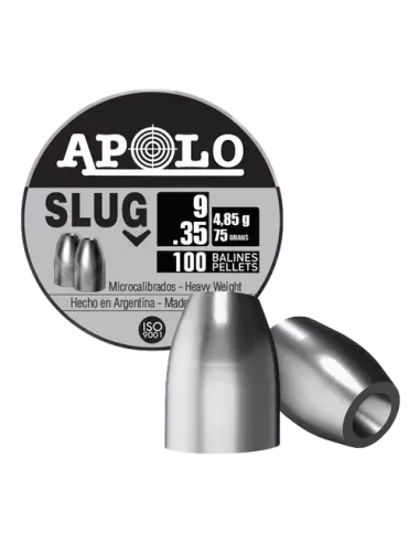 Slug 9mm